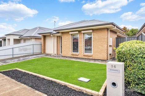 Property photo of 36 Trowbridge Avenue Mitchell Park SA 5043