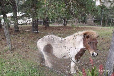 Property photo of 199 Borton Road Tullera NSW 2480