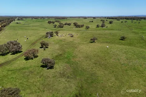 Dennis Rd, Scott River, WA 6288