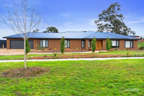 Property photo of 25 Maple Tree Boulevard Mansfield VIC 3722