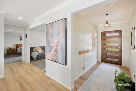 Property photo of 25 Maple Tree Boulevard Mansfield VIC 3722