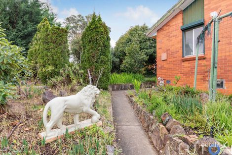 Property photo of 19 Bernacchi Street Mawson ACT 2607