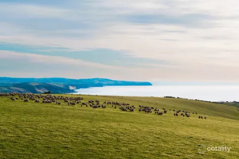 Lot 51 Smith Hill Rd, Carrickalinga, SA 5204