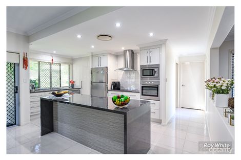 Property photo of 13 Lace Flower Court Norman Gardens QLD 4701