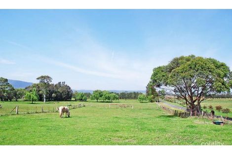 Property photo of 469 Coolangatta Road Far Meadow NSW 2535