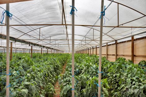 Property photo of 32 De Mannu Road Munno Para Downs SA 5115