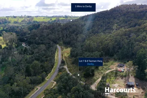 Property photo of 7/8 Tasman Highway Derby TAS 7264