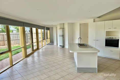 17 Sherbourne Tce, Newtown, VIC 3220