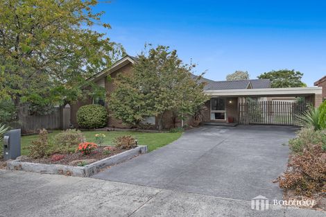 Property photo of 12 Mardene Court Mulgrave VIC 3170