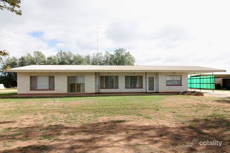 Property photo of 17 Morgan Road Cobdogla SA 5346