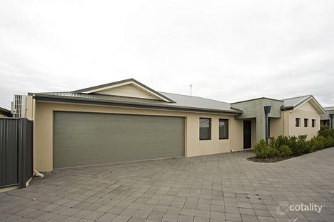 100b Swan St, Tuart Hill, WA 6060
