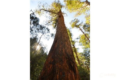 252 Saddle Rd, Kettering, TAS 7155