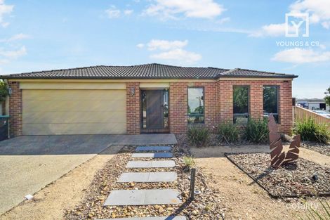 Property photo of 2 Greybox Way Kialla VIC 3631