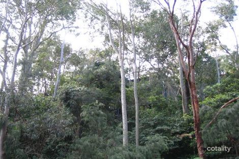 Property photo of 6 Capua Place Avalon Beach NSW 2107