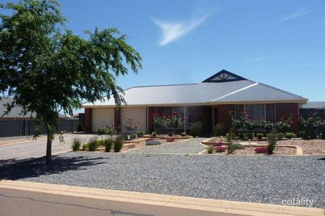 12 Mickan Rd, Stockwell, SA 5355