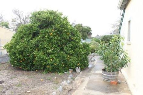 Property photo of 12 Fourth Street Nuriootpa SA 5355