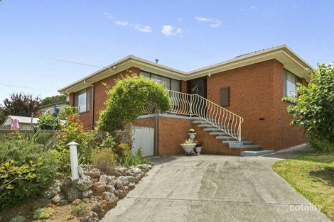Property photo of 23 Tintinara Crescent Belmont VIC 3216