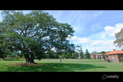 Property photo of 76 Chandos Street Ashfield NSW 2131