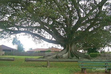 Sunset Dr, Junction Hill, NSW 2460