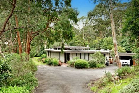 Property photo of 17 Eucalyptus Road Eltham VIC 3095