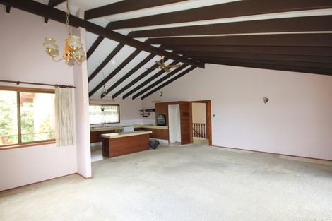 Property photo of 4 Aethalia Street Currumbin Waters QLD 4223
