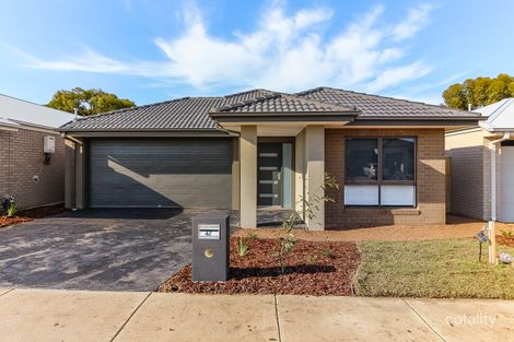 47 Hedge St, Armstrong Creek, VIC 3217