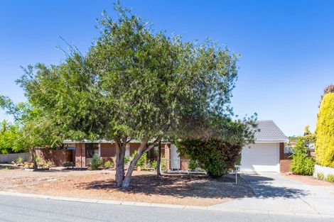 Property photo of 43 Dampier Loop Mirrabooka WA 6061