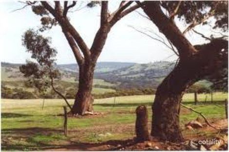 8 Drummond St, Nunile, WA 6566