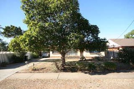 42 Pine Ave, Warradale, SA 5046