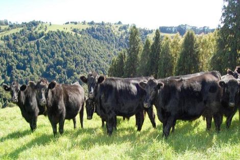 266 Nashs Rd, Deer Vale, NSW 2453