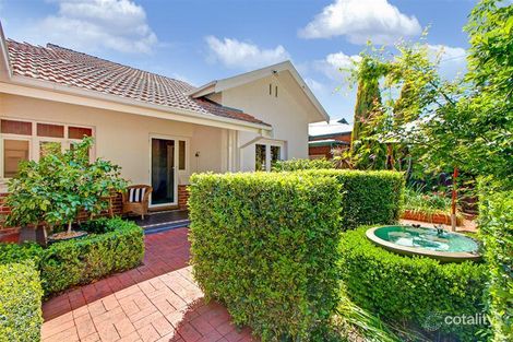 Property photo of 31B Fife Avenue Torrens Park SA 5062