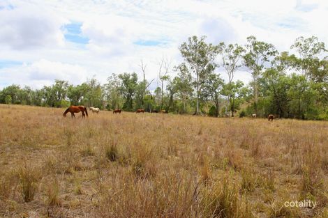 Property photo of 363 Bazleys Road Three Moon QLD 4630