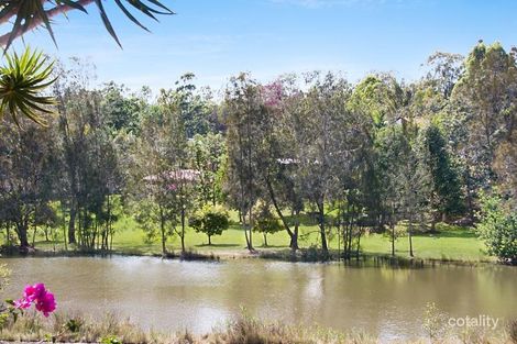 Property photo of 11 Baumea Court Elanora QLD 4221