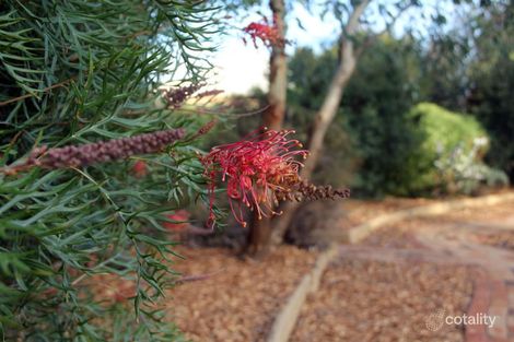 Property photo of 7 Barracks Close Dubbo NSW 2830