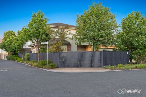 Property photo of 6 Butternut Close Seaford VIC 3198