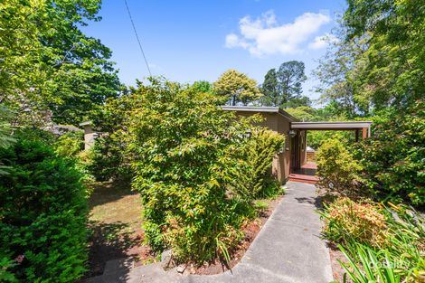 Property photo of 28 Olive Grove Boronia VIC 3155