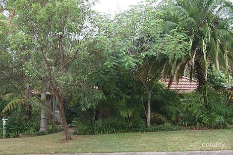 Property photo of 3 Crocus Street Daisy Hill QLD 4127