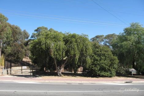 139 Penfold Rd, Wattle Park, SA 5066