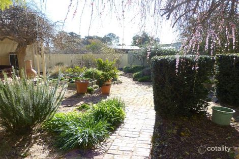 Property photo of 30 Muirkirk Street Jamestown SA 5491