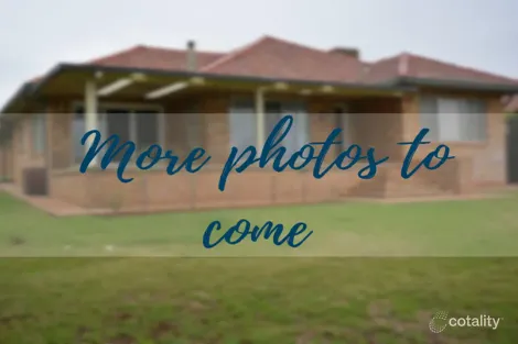 Property photo of 141 Edward Street Gunnedah NSW 2380