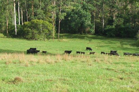 Property photo of 328 Searles Road Tamban NSW 2441