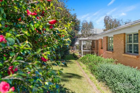 Property photo of 3 Benjamin Street Mount Lofty QLD 4350