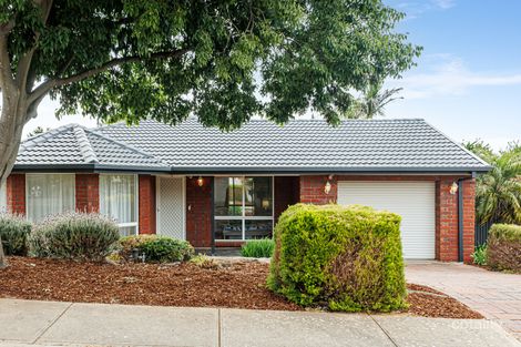 Property photo of 20 Tyrone Court Wynn Vale SA 5127