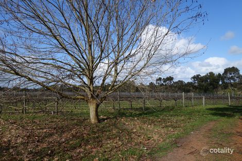 207 Yelverton Rd, Yelverton, WA 6280