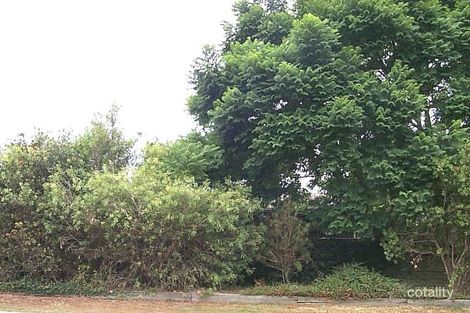 11 Wilkie Ave, Redbank Plains, QLD 4301