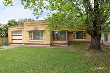 10 Tamarack Ave, Linden Park, SA 5065