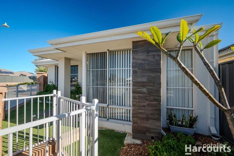 Property photo of 253 Grandis Boulevard Banksia Grove WA 6031