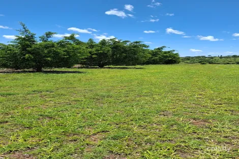 Property photo of 162 Range Road Toll QLD 4820