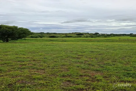 Property photo of 162 Range Road Toll QLD 4820