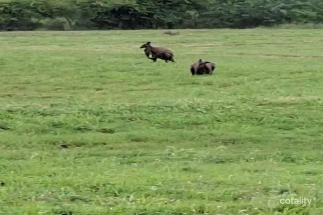 Property photo of 162 Range Road Toll QLD 4820